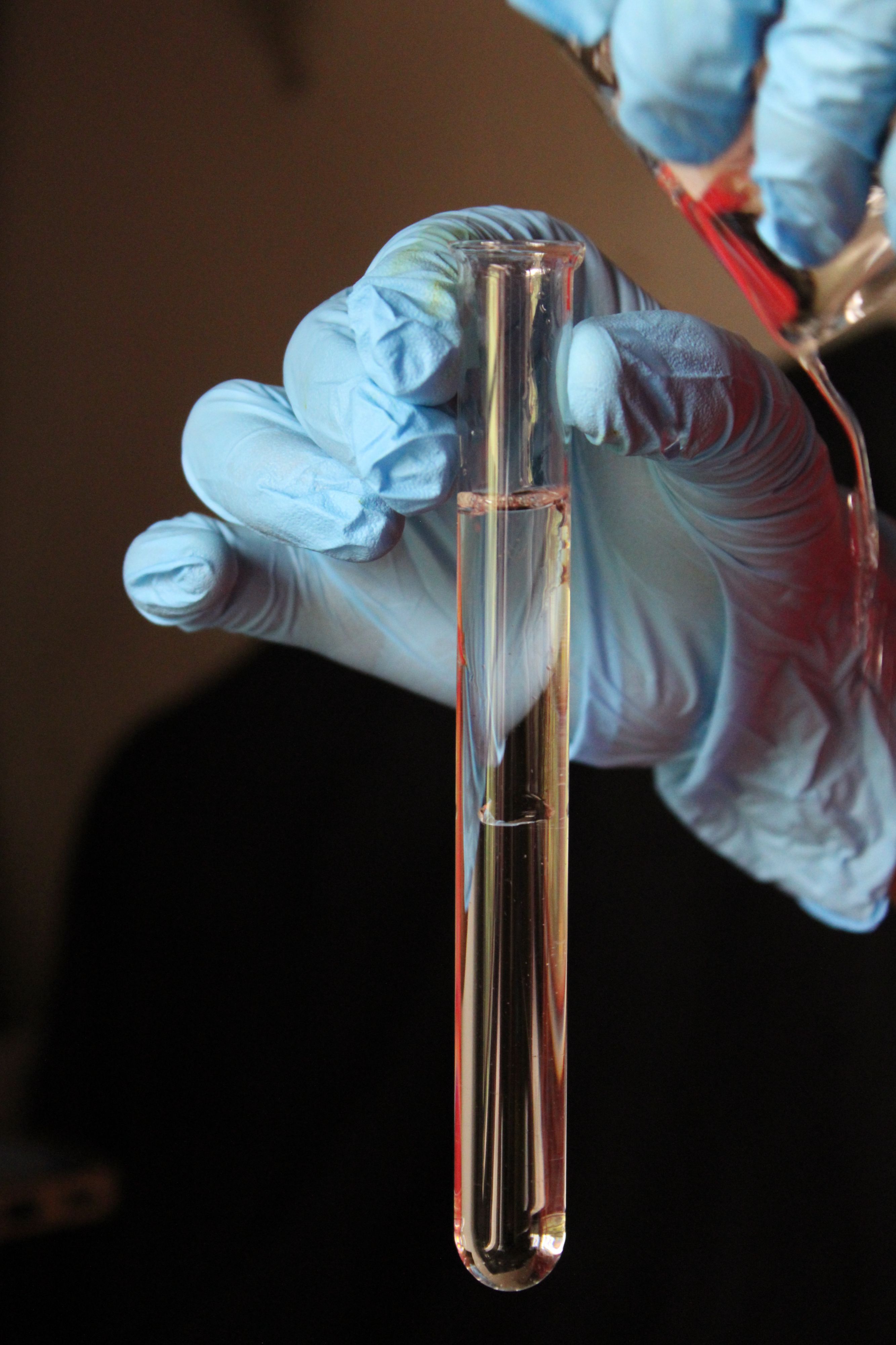 Muestra de laboratorio para estudio de compuestos bioactivos