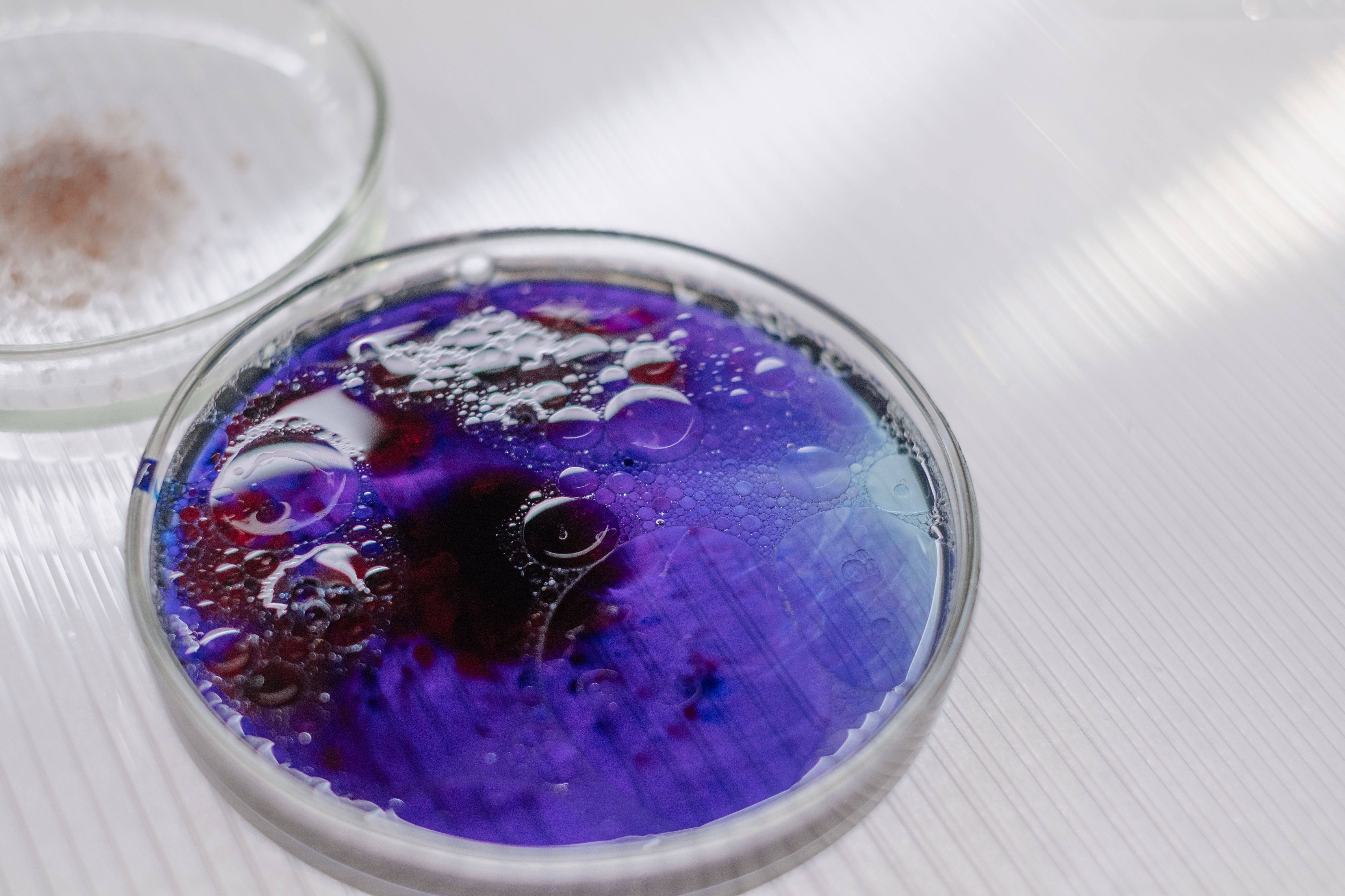 Placa de laboratorio para ensayo antioxidante