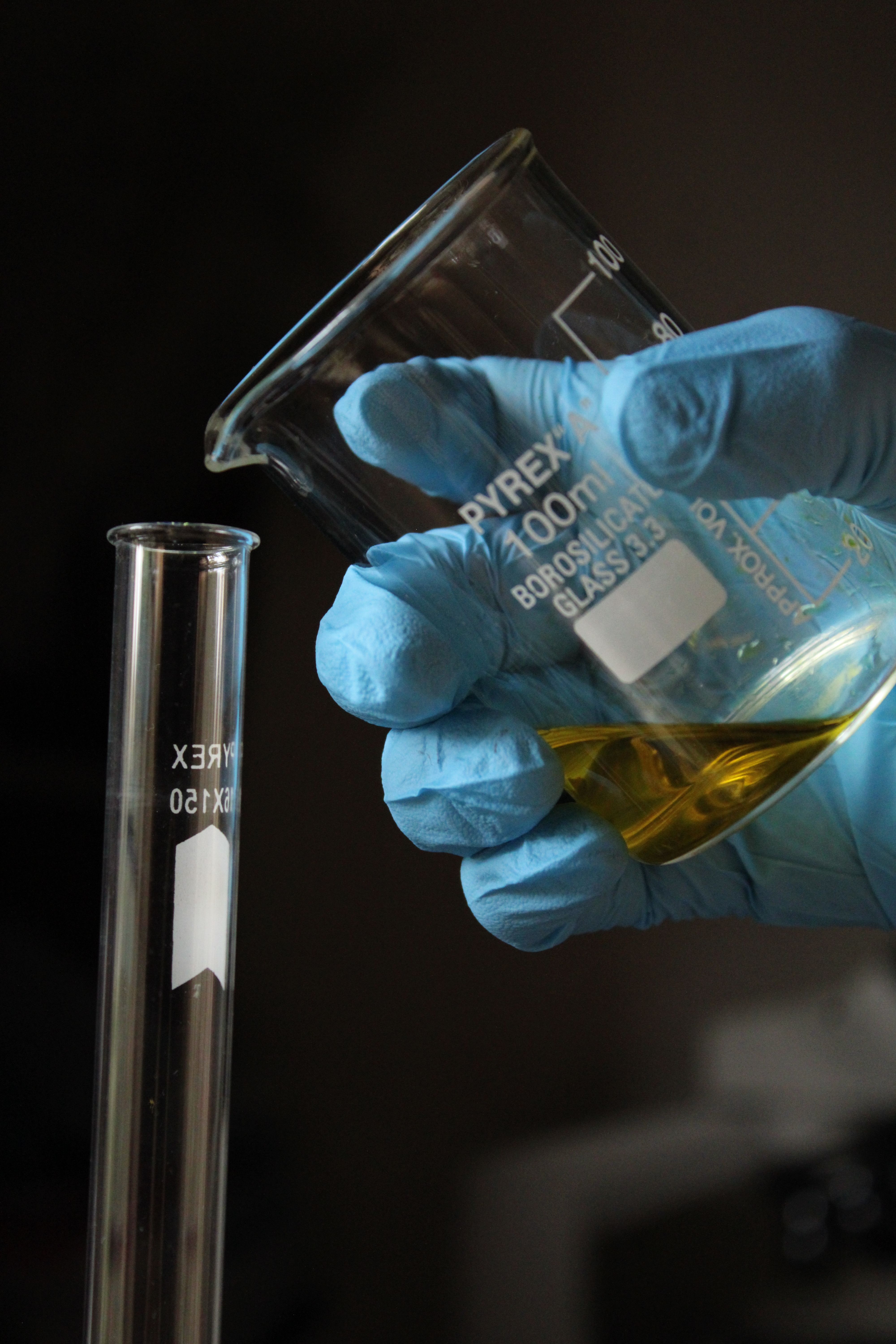 Preparación de ensayo de digestión in vitro