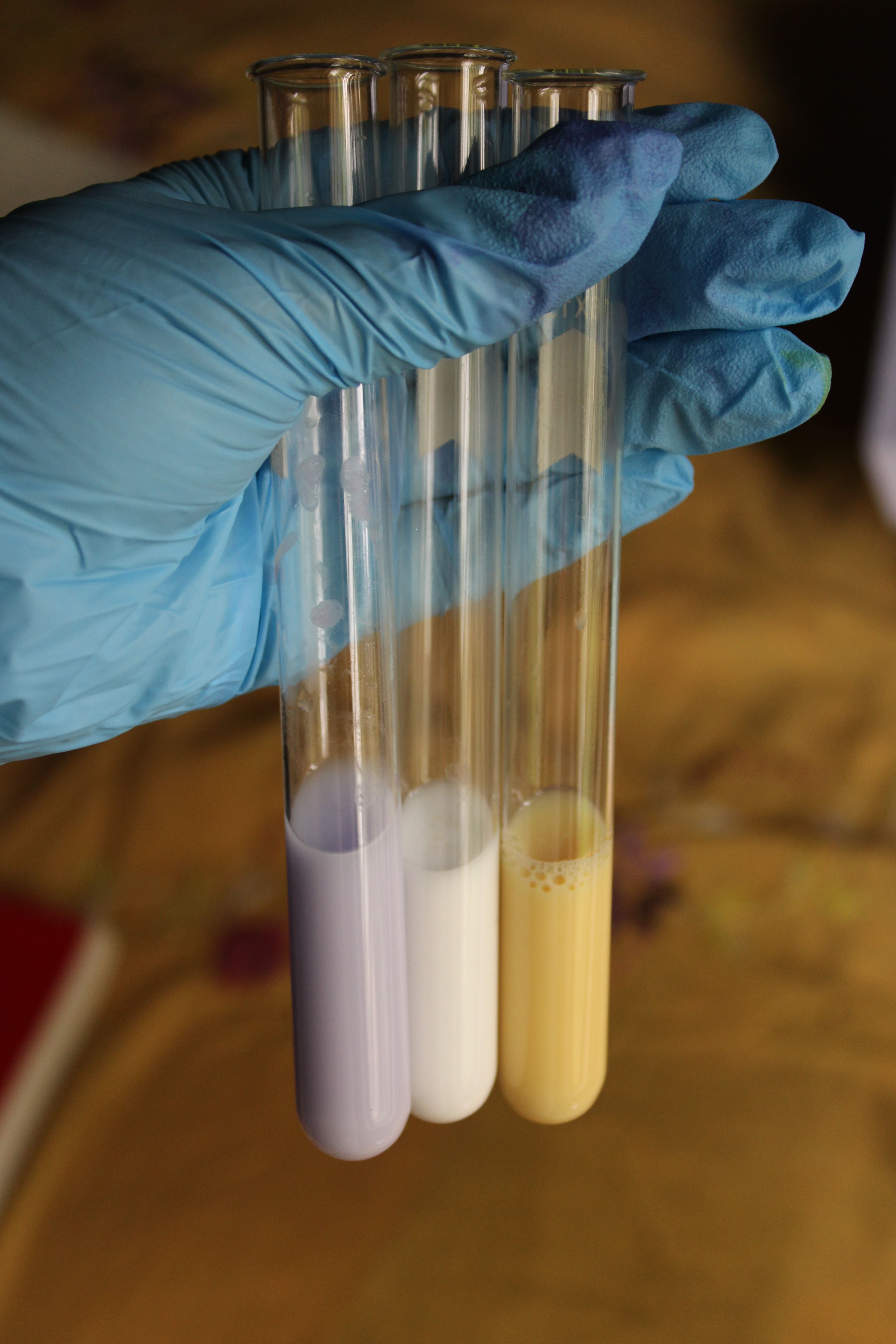 Tubos de ensayo para análisis de flavonoides
