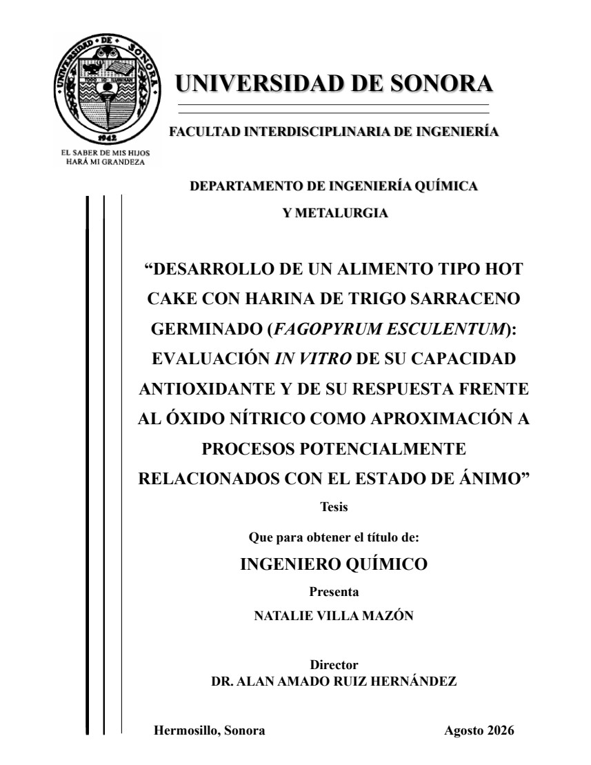 Portada de la tesis de Natalie Villa Mazón